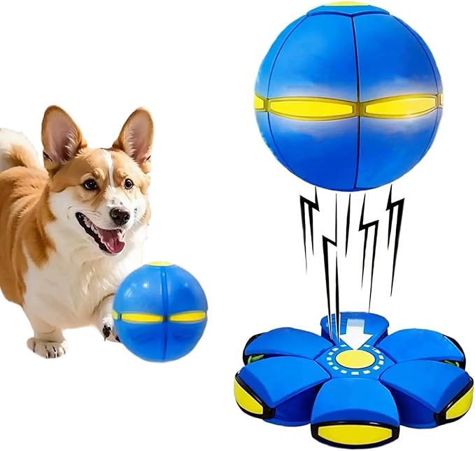 INTERAKTIVNA SKAKUTAVA LOPTA